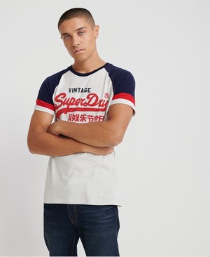 Superdry Vintage Logo Tri-Colour Raglan Férfi Pólók Szürke | PQMEW6398